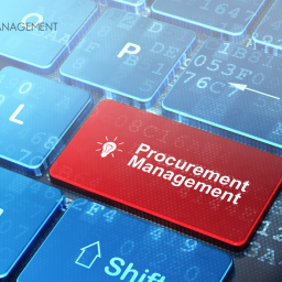 procurement and sustainability - gt management